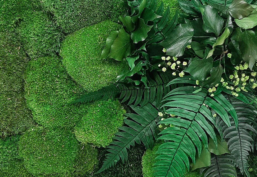 machový obraz stena mosslife